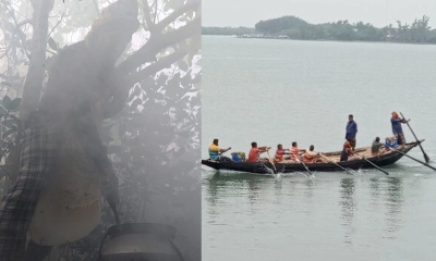 নানা শঙ্কায় শুরু সুন্দরবনের মধু আহরণ, বনে যেতে দ্বিধায় মৌয়ালরা