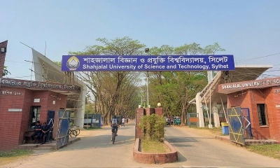 নভেম্বরের দ্বিতীয় সপ্তাহে শাকসু নির্বাচন 