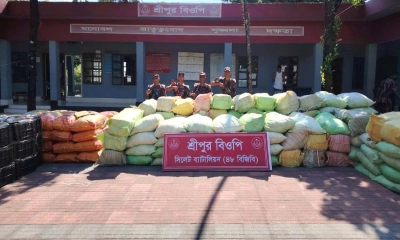 সিলেটে সীমান্তে ১ কোটি ৬১ লাখ টাকার চোরাই পণ্য জব্দ
