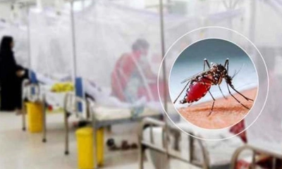 সিলেটে ডেঙ্গুর প্রকোপ অব্যাহত, একদিনে শনাক্ত ১০