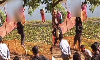 যুবককে গাছে ঝুলিয়ে মধ্যযুগীয় কায়দায় নির্যাতন। ছবি- সংগৃহীত