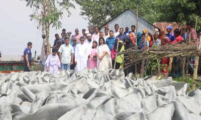 জেলা প্রশাসকের উদ্যোগে নদী ভাঙন থেকে রক্ষা পেল ৫০০ পরিবার