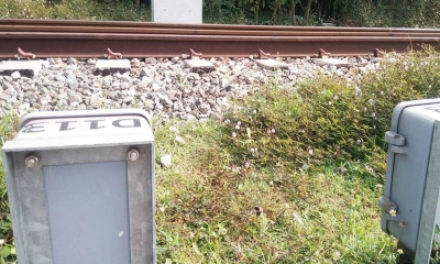 ছবি- সংগৃহীত