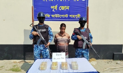 টেকনাফে ইয়াবাসহ মাদক কারবারি আটক