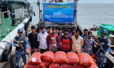 মিয়ানমারে পাচারকালে আলুসহ ১০ পাচারকারী আটক