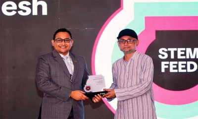 টিকটকের নতুন ফিচার ‘স্টেম ফিড’ বাংলাদেশে চালু