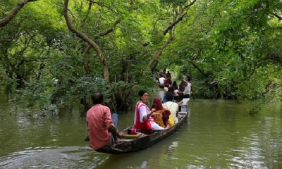 সেন্টমার্টিনের মতো বনাঞ্চলে  পর্যটনে কড়াকড়ির ইঙ্গিত