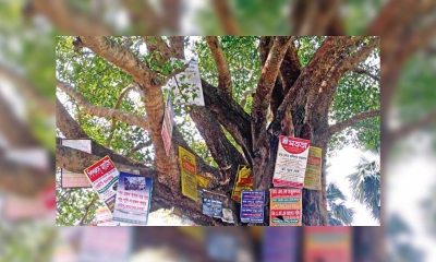 গাছে পেরেক ঠুকলেই ২০ হাজার টাকা জরিমানা