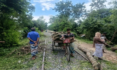 বন বিভাগের অনুমতি ছাড়াই গাছ কাটছে রেলওয়ে