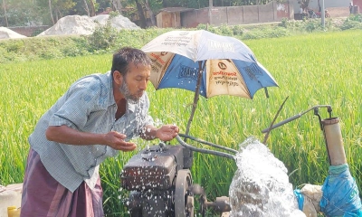 তীব্র তাপপ্রবাহে দেশে ৬ কোটি মানুষ মারাত্মক ক্ষতিগ্রস্ত: গবেষণা