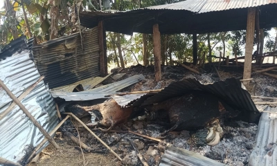 মৌলভীবাজারে জামায়াতকর্মীর খামারে অগ্নিসংযোগ, অর্ধকোটি টাকার ক্ষতির দাবি