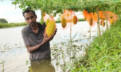 রঙিন তরমুজে স্বপ্ন রঙিন