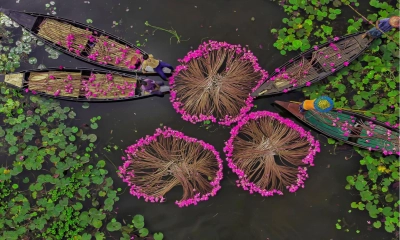 লাল শাপলার রাজ্যে স্বাগত