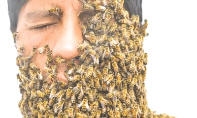 মৃত্যু খুঁজতে গিয়ে জীবন পেলেন এলি