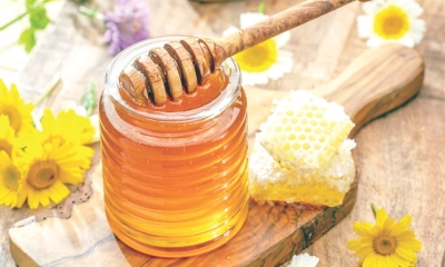 কেন খাবেন মধু