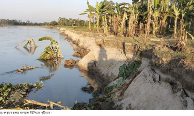 নাগেশ্বরীতে নদীভাঙনে দিশাহারা মানুষ