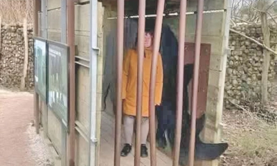 বন্যপ্রাণীর ভয়ে খাঁচায়