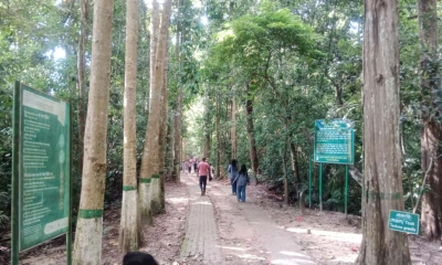 পর্যটকের অবাধ বিচরণে বিরক্ত বন্যপ্রাণী
