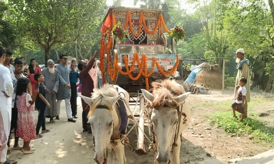 ঘোড়ার গাড়িতে চড়ে কনের বাড়ি গেলেন বর