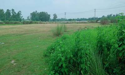 নারী ক্রীড়াঙ্গন এখন গো-চারণভূমি!