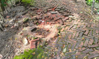 সংস্কারের অভাবে চলাচলের  অযোগ্য হেরিংবন্ড সড়ক