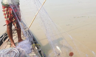পদ্মায় অবাধে ইলিশ শিকার