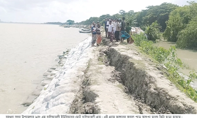 পায়রার ঢেউয়ে নিঃস্ব মানুষ