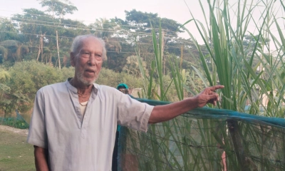 চোখ বুজলে আজও  গা শিউরে ওঠে