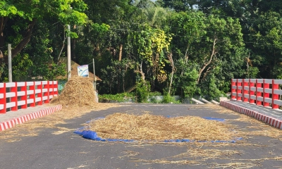 সড়ক যেন ধান-খড় শুকানোর চাতাল!