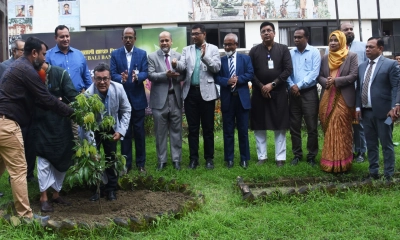 জাতীয় বিশ্ববিদ্যালয় ক্যাম্পাসে পূবালী ব্যাংকের উদ্যোগে বৃক্ষরোপণ কর্মসূচির উদ্বোধন