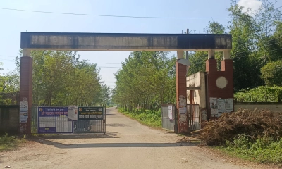 বিসিক শিল্পনগরী এখন পরিত্যক্ত জঙ্গল