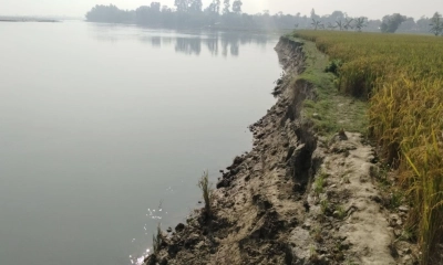 ধরলা নদীতে তীব্র ভাঙন  বিলীন ফসলি জমি