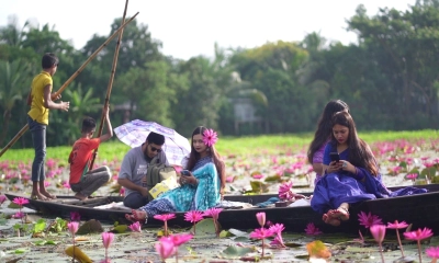 লাল শাপলায় রঙিন গোপালগঞ্জের বিল