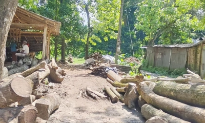 খাল ভরাট করে সাবেক  যুবদল নেতার স-মিল