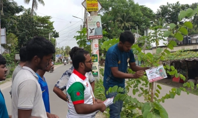 নীরব গাছে ঝুলে আছে  জুলাইয়ের গল্প
