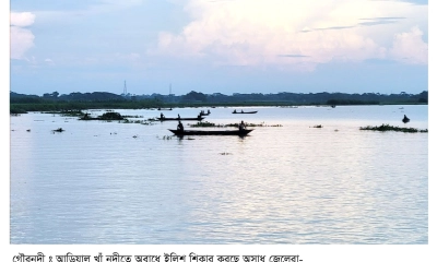 আড়িয়াল খাঁয় অবাধে  ইলিশ শিকার