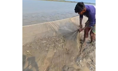 চরঘেরা জালে হুমকিতে মৎস্যসম্পদ