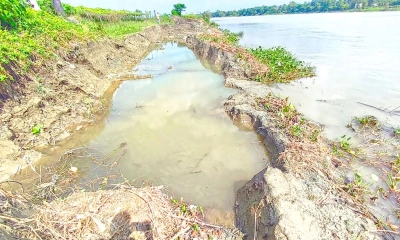 রাতের আঁধারে নদের মাটি লুট