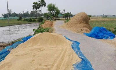 সড়ক যেন ধান-খড় শুকানোর চাতাল!