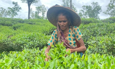 অবহেলিত অপার  সম্ভাবনাময় পর্যটনে