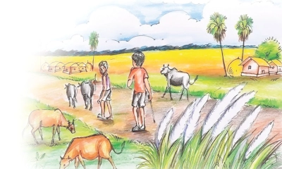 আশ্বিন মাসের গল্প 
