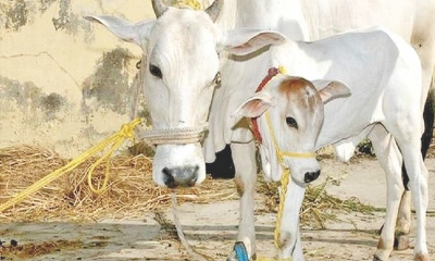 থানায় অভিযোগ
