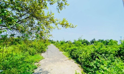 জঙ্গলে পরিণত বিসিক শিল্পনগরী