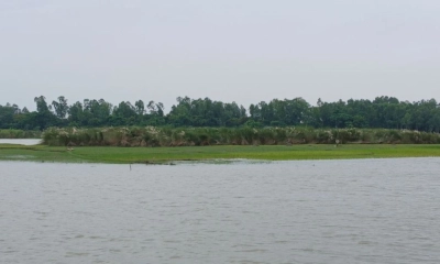 কুড়িগ্রামে নদ-নদীর পানি  বেড়ে নিম্নাঞ্চল প্লাবিত