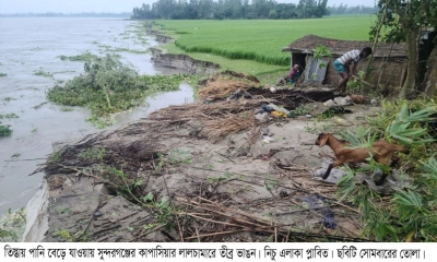 রাতারাতি নদীগর্ভে ২০ ঘর