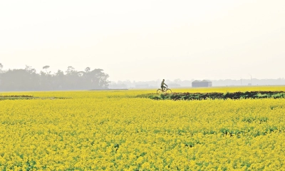 হলুদ রঙে রাঙা ভুবন