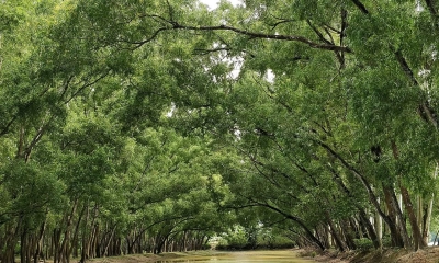প্রকৃতির কোলে রহস্যের জলাধার