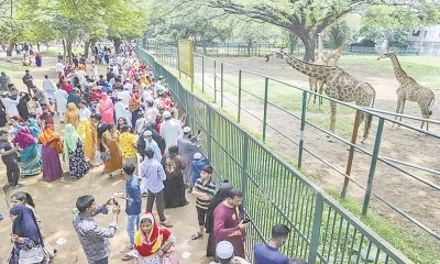 মিরপুর চিড়িয়াখানায়  দর্শনার্থীদের ভিড়
