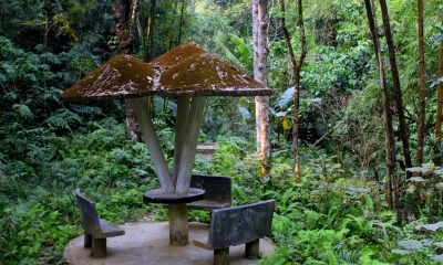 সিলেটের সবুজ রাজ্যে একদিন