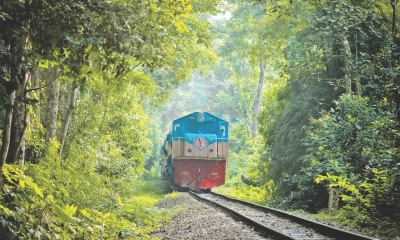 এবার  শীতের  দিনে  লাউয়াছড়া বনে